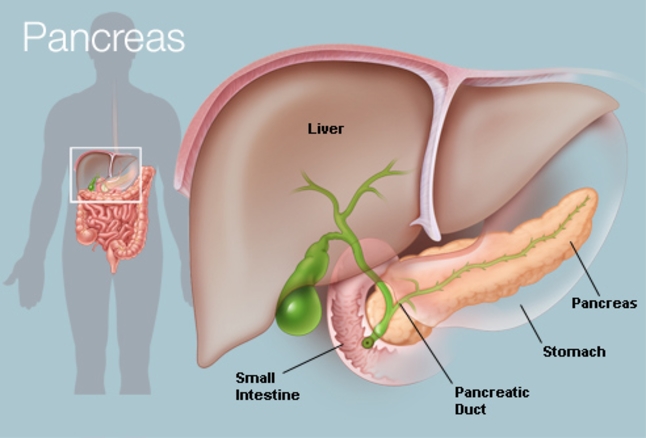 Dr. Mahesh Gopasetty - Liver Specialist in Bangalore
